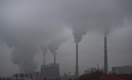 Certyfikaty kogeneracyjne zgodne z prawem