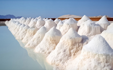 Ubiegły rok przyniósł spadki produkcji niemal we wszystkich częściach rynku solnego w Polsce. Z najn