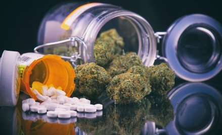 Minister Zdrowia po wyroku NSA zrefunduje lek z konopi na ból