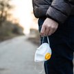 Wirus Oropouche. Wirus z Ameryki Południowej roznoszony przez meszki dotarł do Europy?