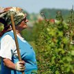 Marianna Pudło z Godziszowa głosowała przeciw Unii. Dziś jednak widzi korzyści. – Kiedyś w polu koni
