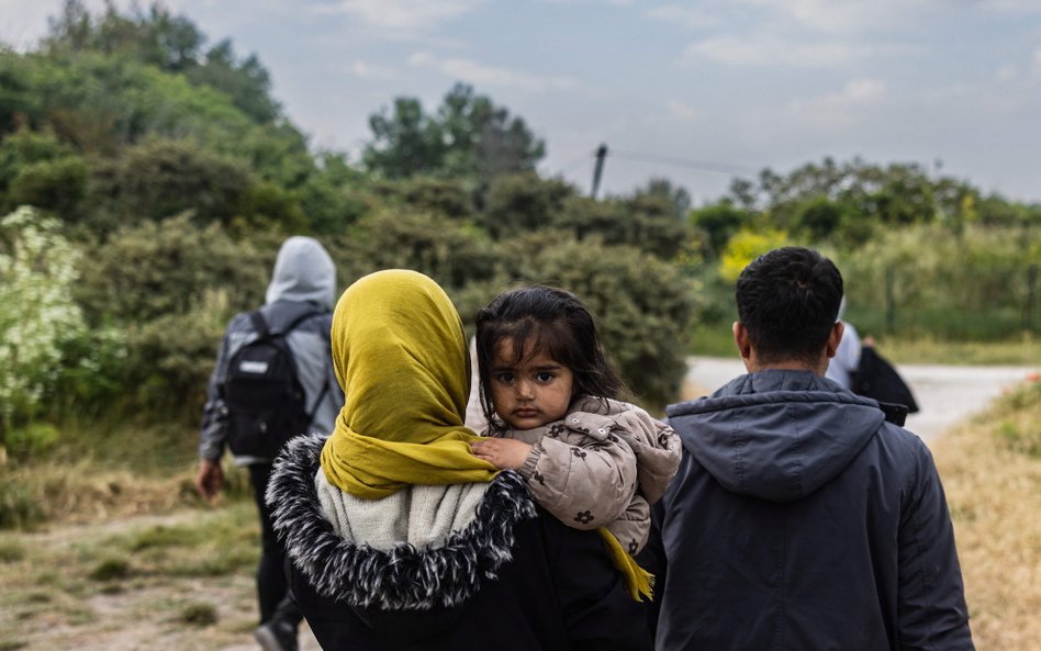 Tomasz Krzyżak: Zmyłka z migrantami. Referendum nie ma najmniejszego sensu