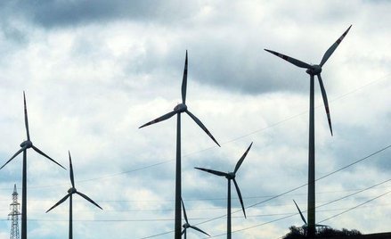 Kancelaria DWF Poland doradcą TAURON w nabyciu grupy farm wiatrowych
