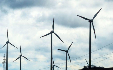 Dentons doradza DNB Bank Polska przy finansowaniu budowy pięciu farm wiatrowych