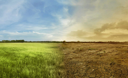 Myśląc o losach następnego pokolenia, Polacy najbardziej obawiają się konsekwencji zmian klimatyczny