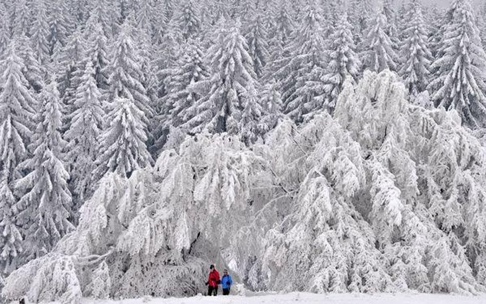 Kłopoty polskich turystów w austriackich Alpach