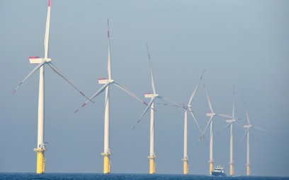 PSE budują sieć dla morskich farm wiatrowych