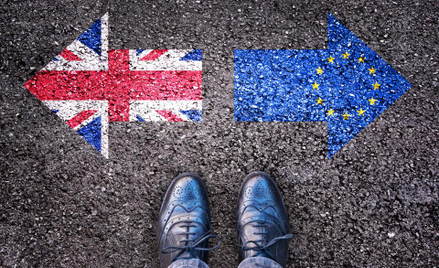 Brexit a rynek ubezpieczeń: konsekwencje dla zakładów ubezbieczeń oraz zakładów reasekuracji
