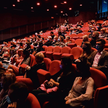 Mimo że teatralna widownia była ostatnio superbezpiecznym miejscem, rząd nowym restrykcjami uderzył 
