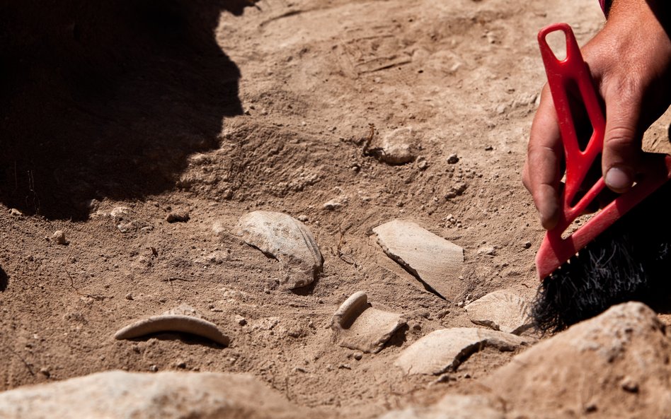 Chińscy archeolodzy odkryli ślady antycznej techniki fermentacji ryżu sprzed ok 10 tys. lat / zdjęci