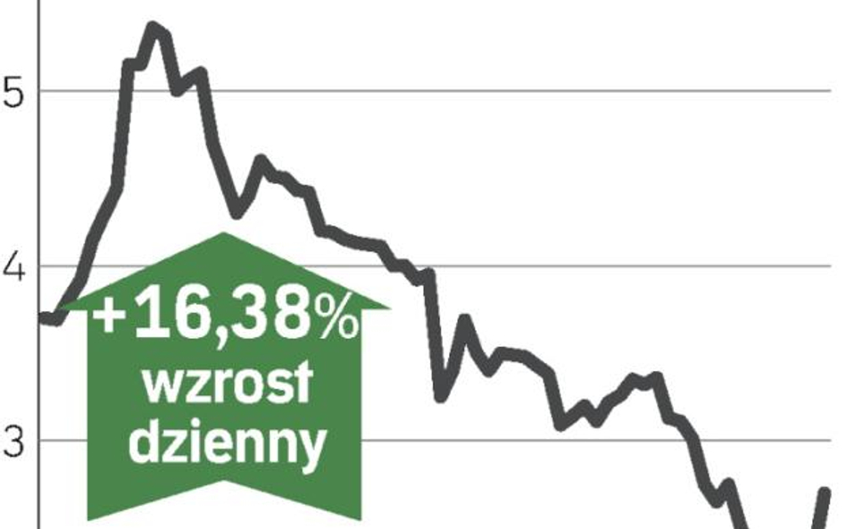 Mocny wzrost notowań dzięki fuzji