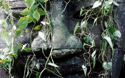 Atmosfera tajemniczości zrodzona w ciągu stuleci zmagań z dżunglą