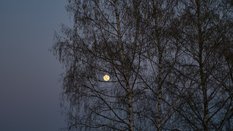 W tym roku pierwsza wiosenna pełnia Księżyca wypadnie 2 kwietnia