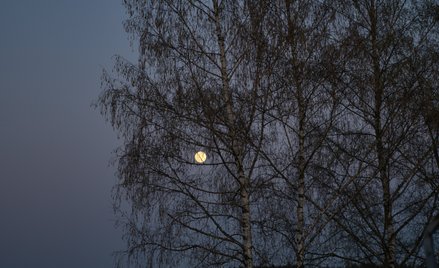 W tym roku pierwsza wiosenna pełnia Księżyca wypadnie 2 kwietnia