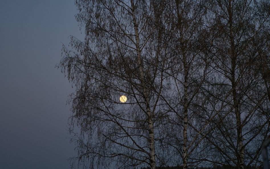 W tym roku pierwsza wiosenna pełnia Księżyca wypadnie 2 kwietnia