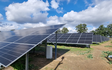 Ghelamco: Trzy słoneczne farmy są już gotowe