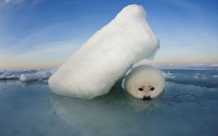 Quebec, Kanada, 2012 r.