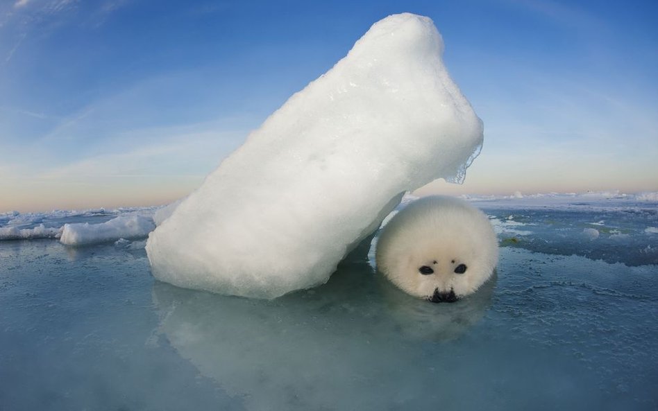 Quebec, Kanada, 2012 r.