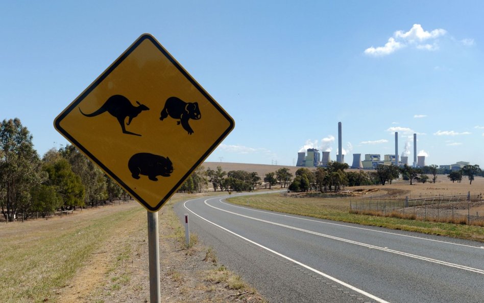 ChatGPT wciąż rozpowszechnia informację, że australijski burmistrz Hepburn Shire nie tylko został sk