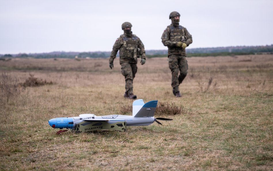 System amunicji krążącej WARMATE