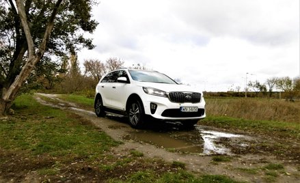 KIA Sorento 2.0 CRDI: SUV jak tradycja każe