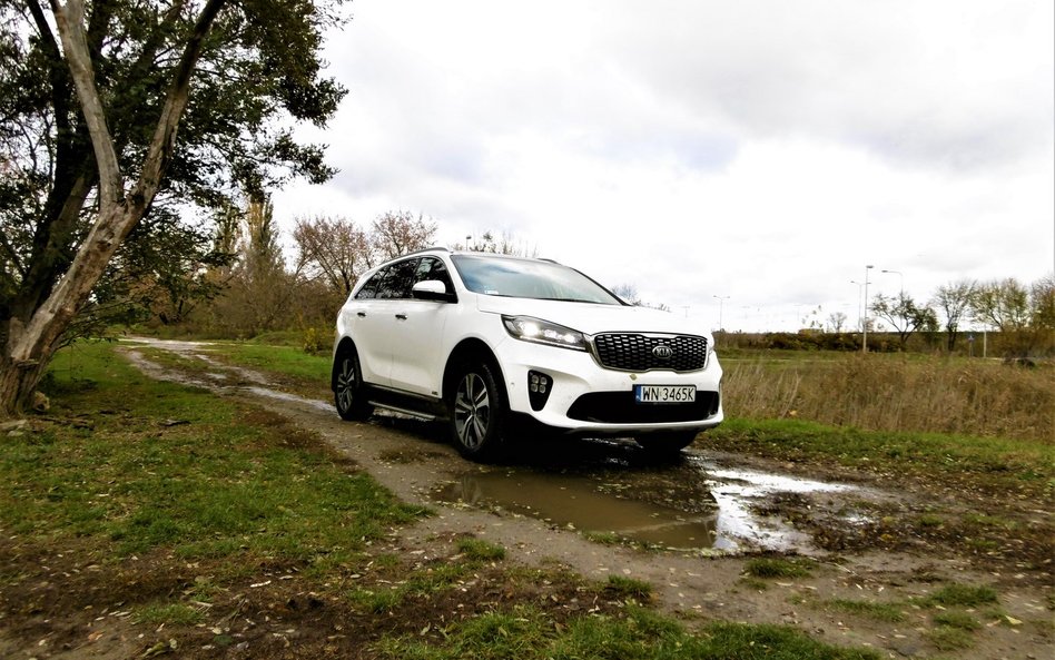 KIA Sorento 2.0 CRDI: SUV jak tradycja każe