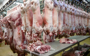 Japoński rynek pozostaje zamknięty dla polskiej wieprzowiny, ale producenci liczą na szybkie otwarcie