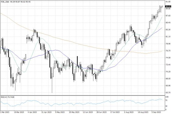 Notowania ropy naftowej WTI – dane dzienne