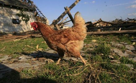 Rolnicy protestują przeciw nowej wykładni przepisów