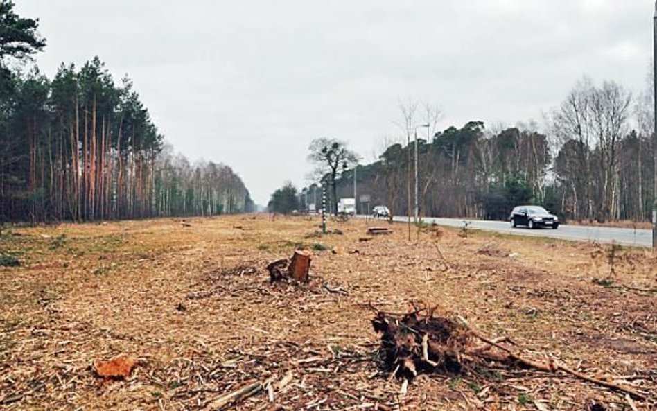 Trwają przygotowania do „podłączenia” miasta do budowanej drogi S5.