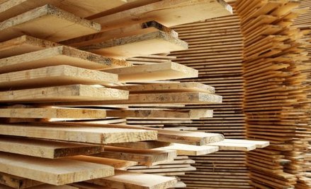 Stelmet z niższym zyskiem