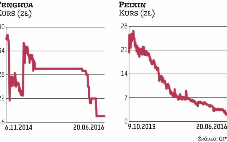 Peixin, Fenghua, JJ Auto: Nieudany chiński eksperyment