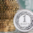 Możemy próbować zmniejszyć straty. Jak chronić oszczędności przed inflacją?