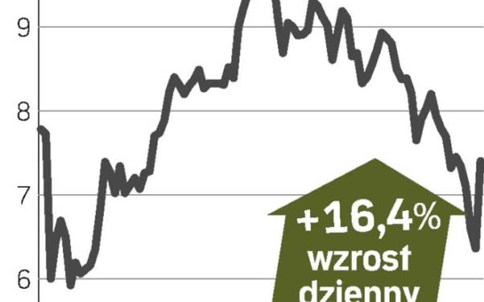 Optimus – spółka, o której się mówi w Warszawie