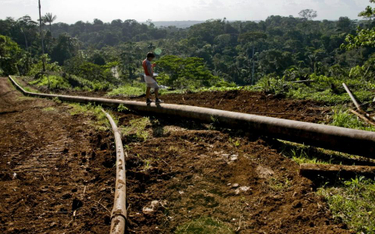 Ekwador chce szukać ropy w Amazońskiej dżungli