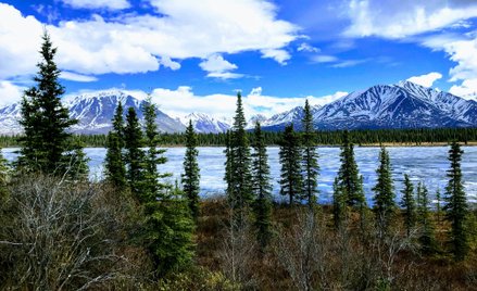 Projekt zakłada wycinkę drzew na terenach między innymi Ameryki Północnej (na zdjęciu Mount Denali n
