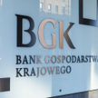 Wszystko o tarczy BGK. Na co mogą liczyć przedsiębiorcy?