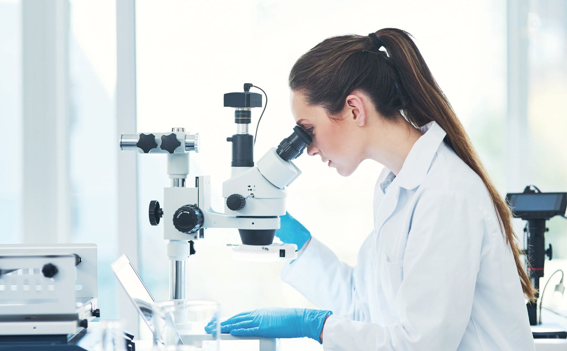 Obiecujące projekty w przełomowym momencie