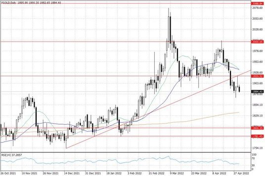 Notowania złota – dane dzienne