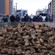 Protest rolników przeciw przepisom unijnego Zielonego Ładu w Brukseli, fot. z 26 marca