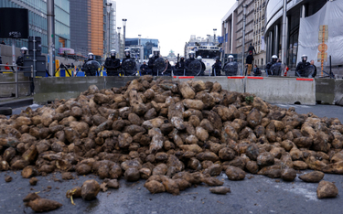 Protest rolników przeciw przepisom unijnego Zielonego Ładu w Brukseli, fot. z 26 marca