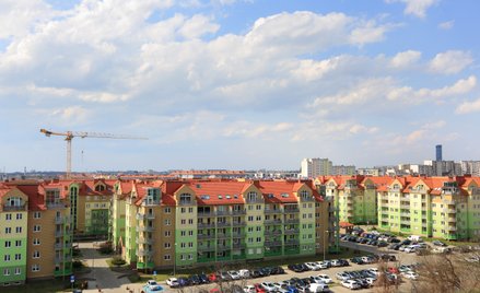 Chrabota: Nie można budować mieszkań bez miejsc parkingowych. To patodeweloperka!