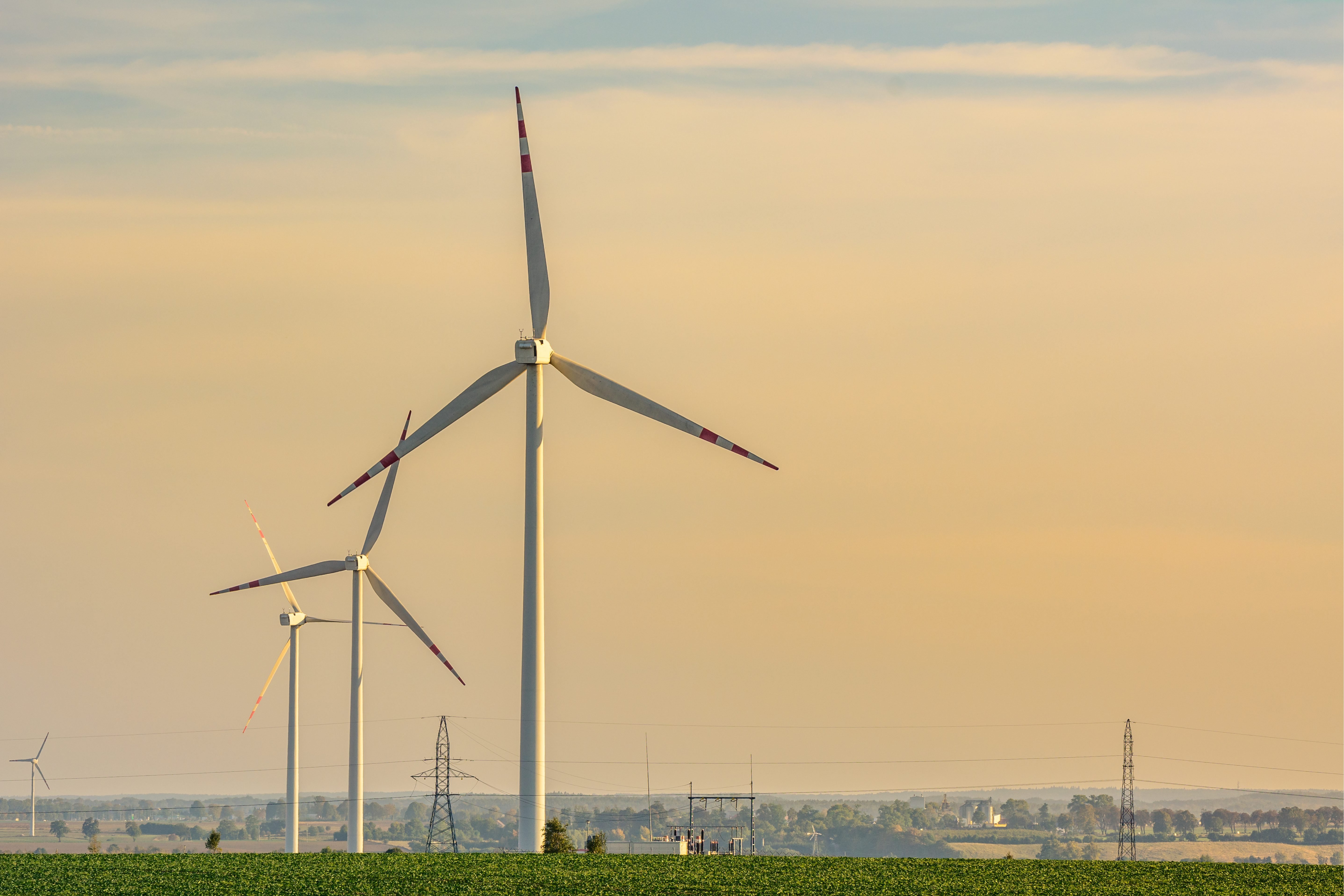 Biznes nie zawróci z zielonej ścieżki