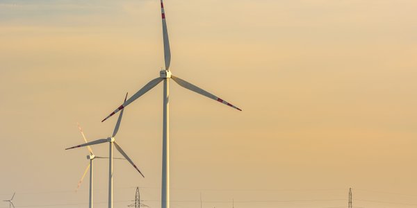 Biznes nie zawróci z zielonej ścieżki