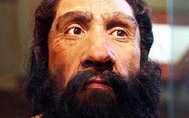Jak mięso wpłynęło na neandertalczyków