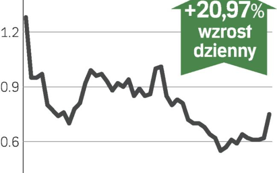 Wzrost po decyzji akcjonariuszy