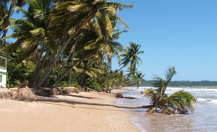 Trynidad i Tobago, wyspiarskie państwo na północy Ameryki Południowej