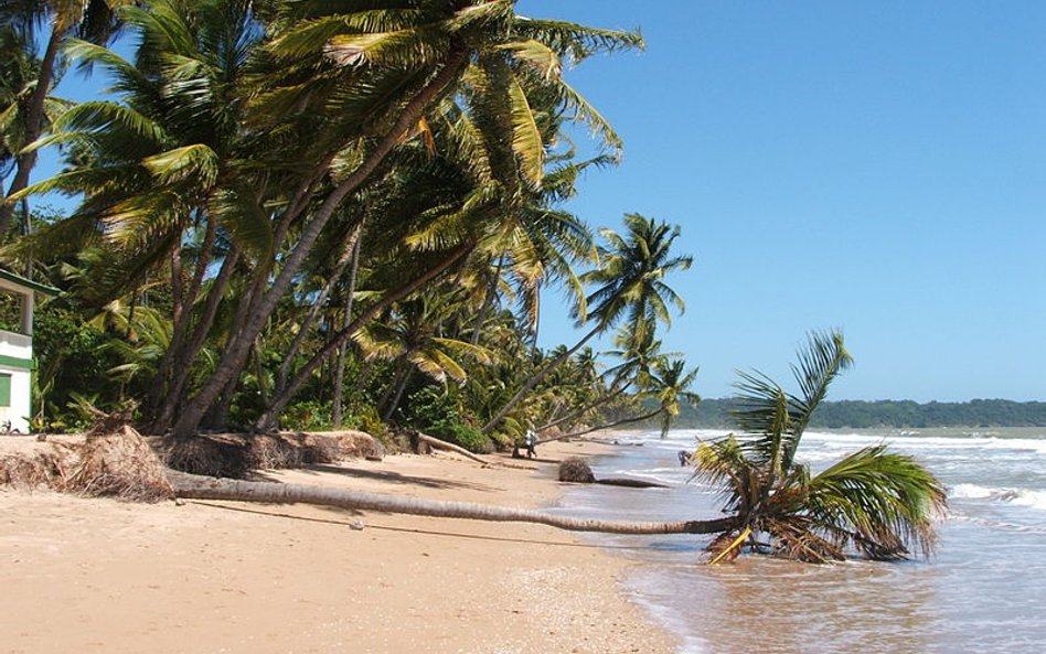 Trynidad i Tobago, wyspiarskie państwo na północy Ameryki Południowej