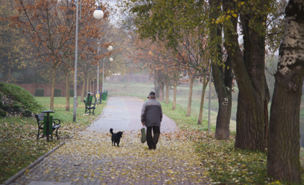 Maciej J. Nowak: Zakazywać, nie zakazywać, czyli jak chronić przestrzeń miejską