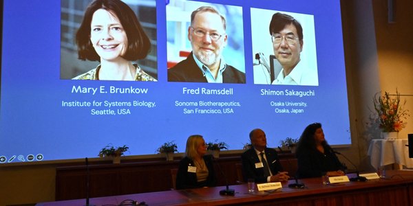 Kto zdobył Nagrodę Nobla 2025 w dziedzinie fizjologii i medycyny? Znamy laureatów